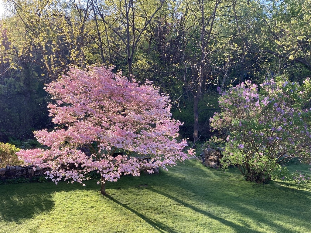 321 North Road Bedford, MA 01730 - Photo 38 of 41