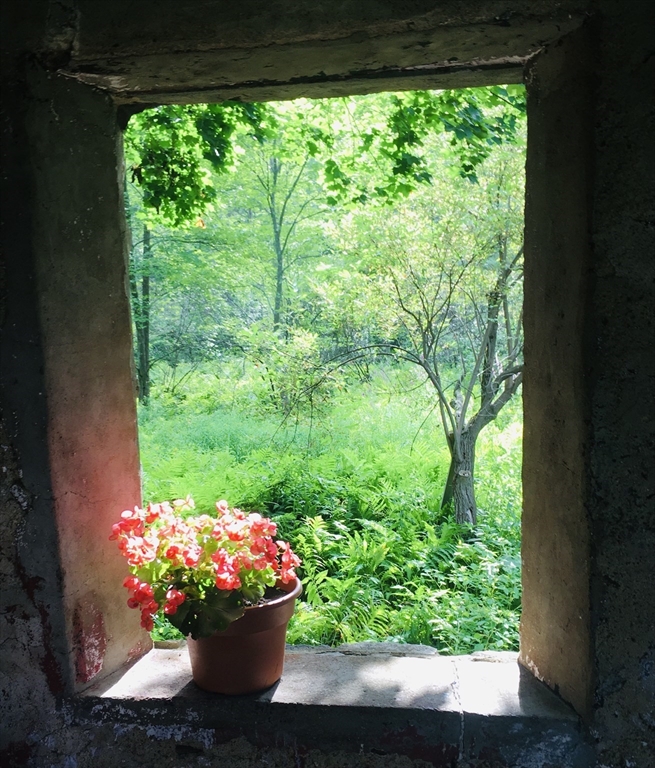 321 North Road Bedford, MA 01730 - Photo 41 of 41