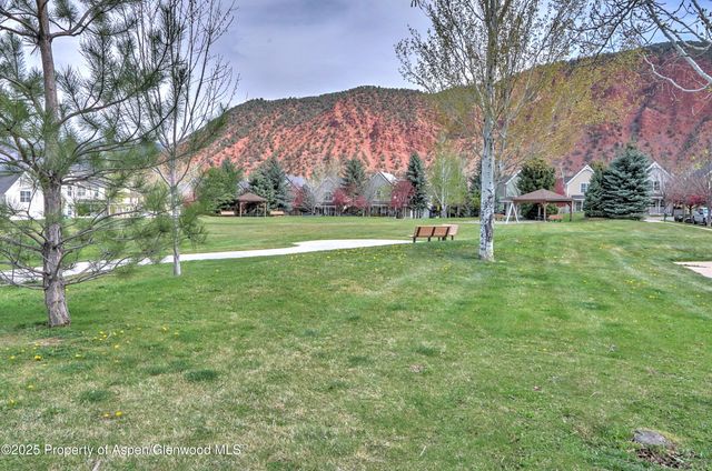 a view of field with tall trees