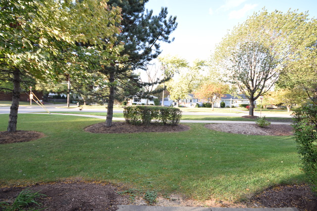 801 South Addison Avenue, Unit 801 Lombard, IL 60148 - Photo 20 of 22