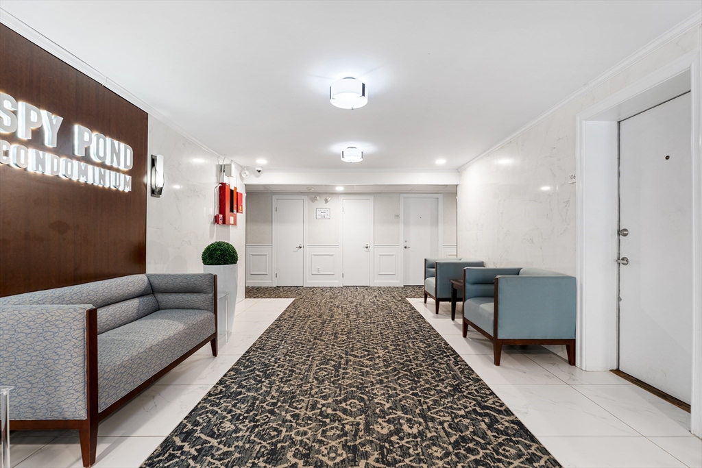 34 Hamilton Road, Unit 302 Arlington, MA 02474 - Photo 20 of 30 a living room with furniture and a rug