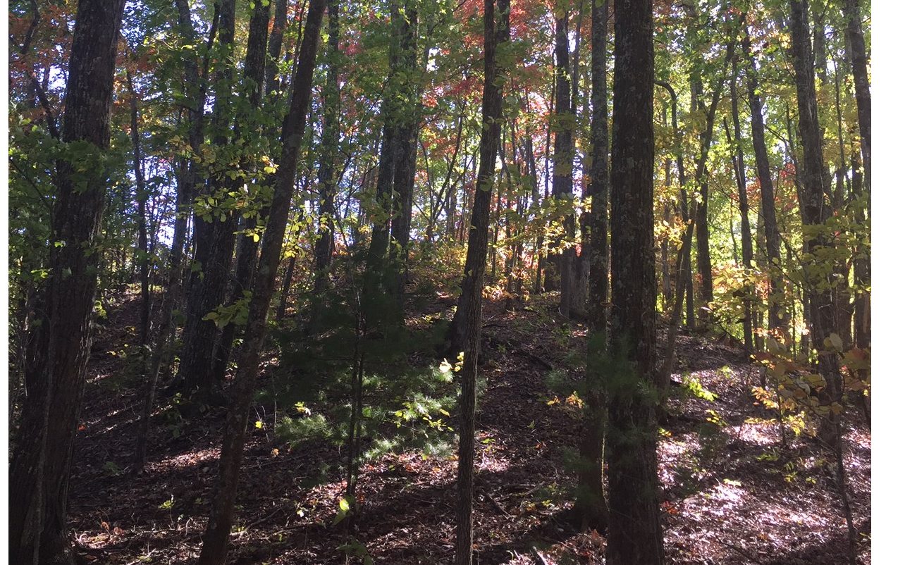 0 Pack Mountain Road Murphy, NC 28906 - Photo 3 of 3 Additional View