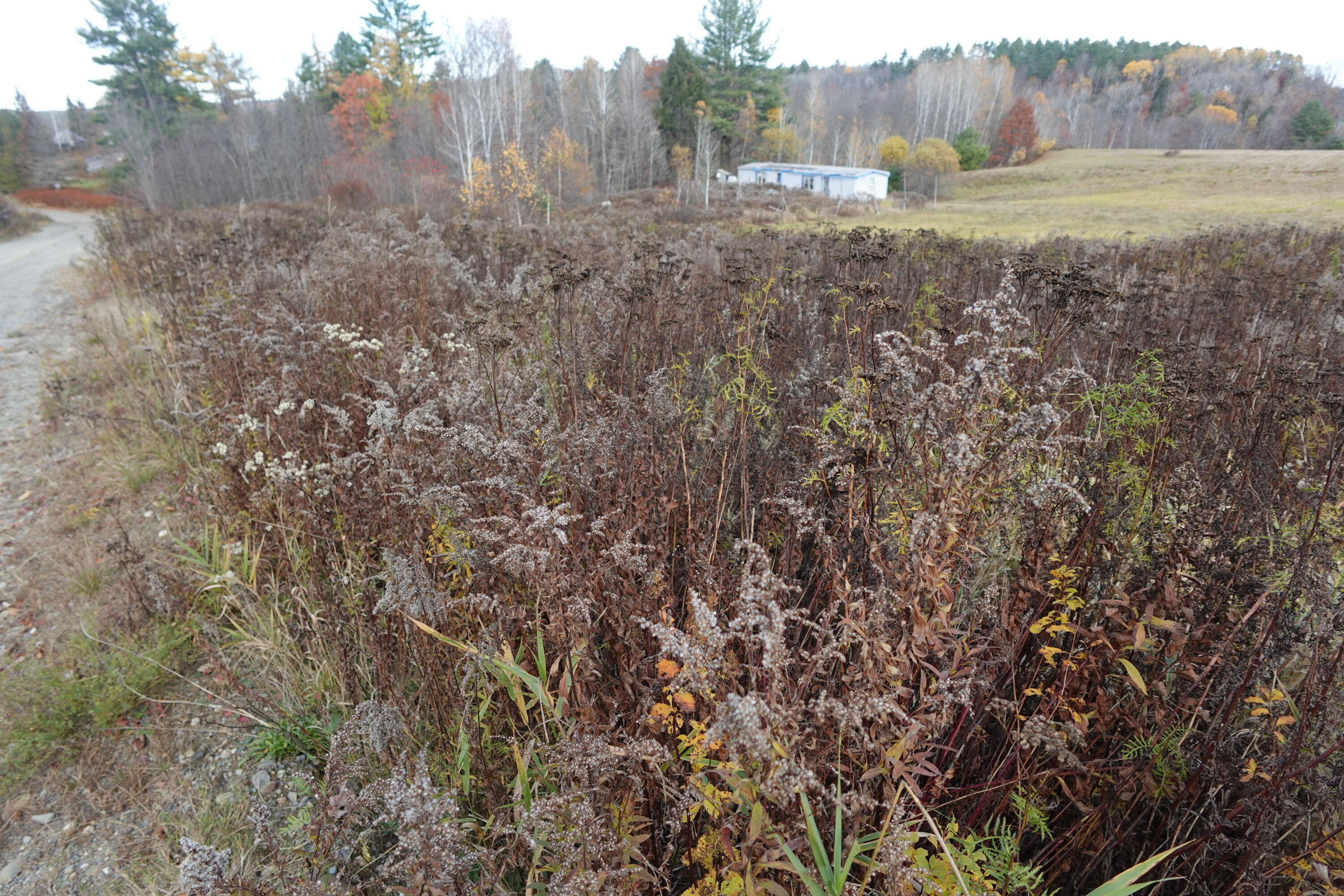 151 Dunham Road Farmington, ME 04938 - Photo 2 of 2 DSC00390