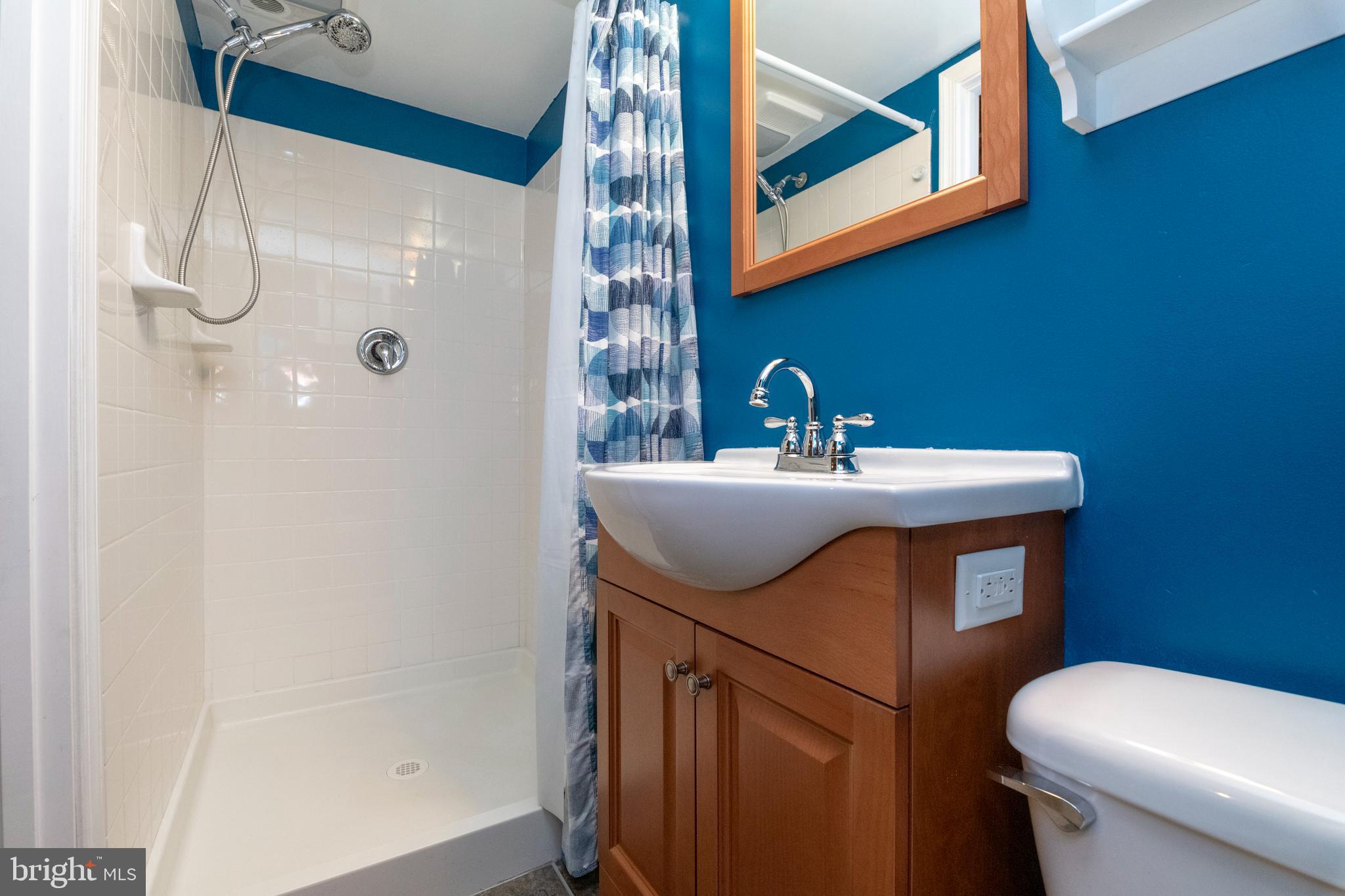 115 Brandon Road Baltimore, MD 21212 - Photo 30 of 39 a bathroom with a sink a toilet and shower