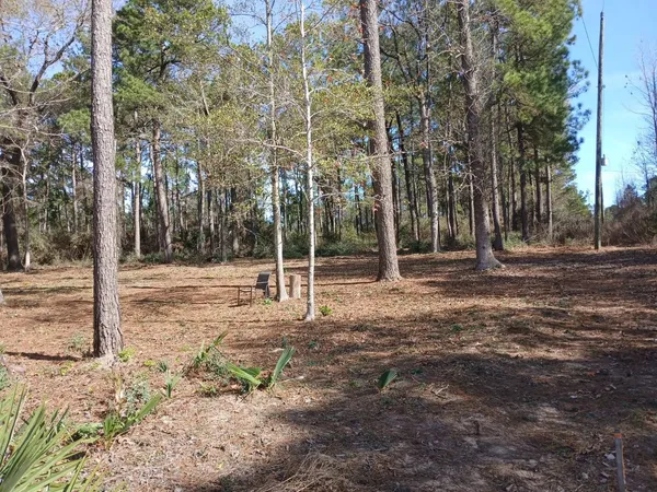 $48,000 | Tbd Tbd Yupon Lane, Plantersville, TX 77363