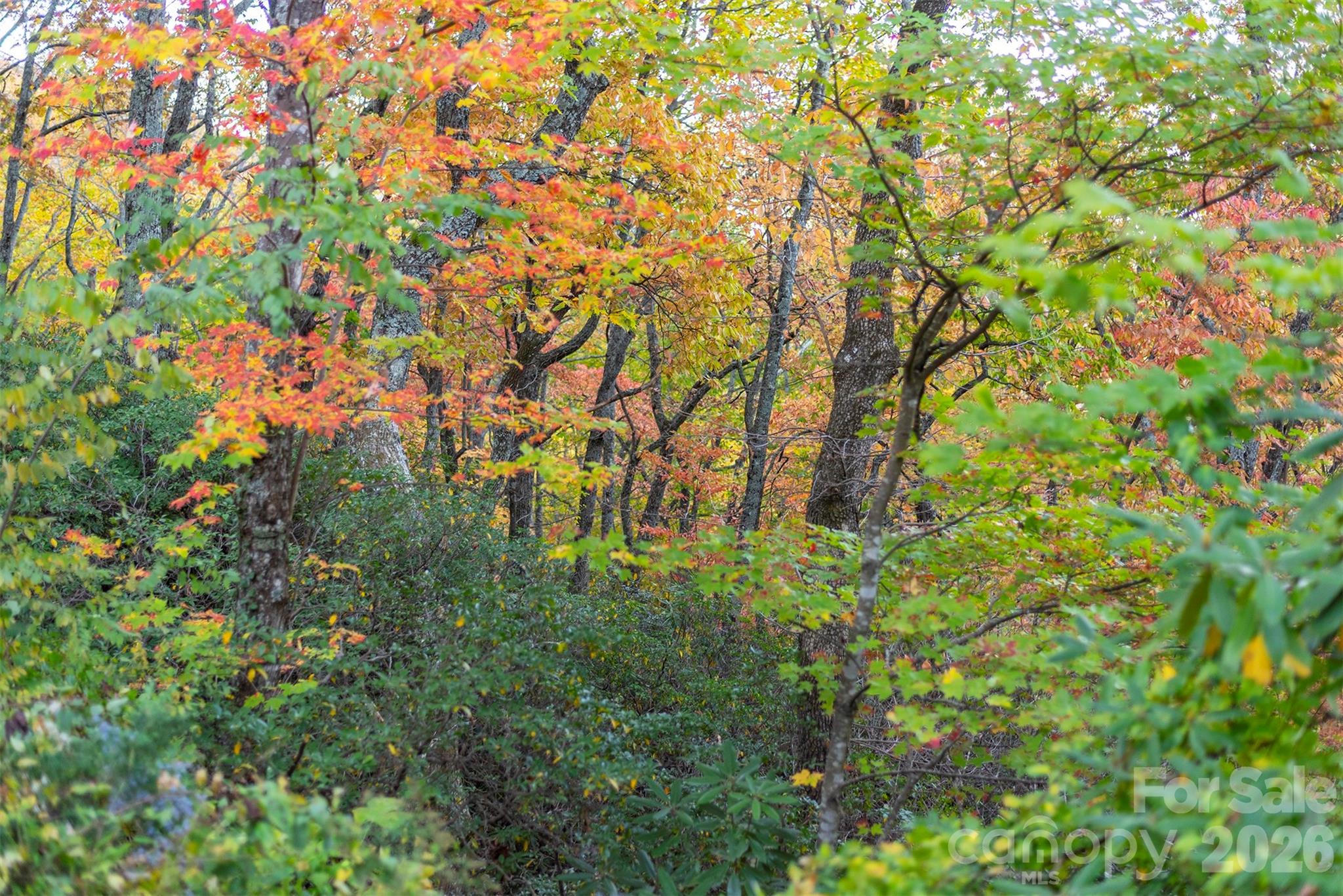 Tbd Summer Haven Road, Unit 16 Swannanoa, NC 28778 - Photo 35 of 45