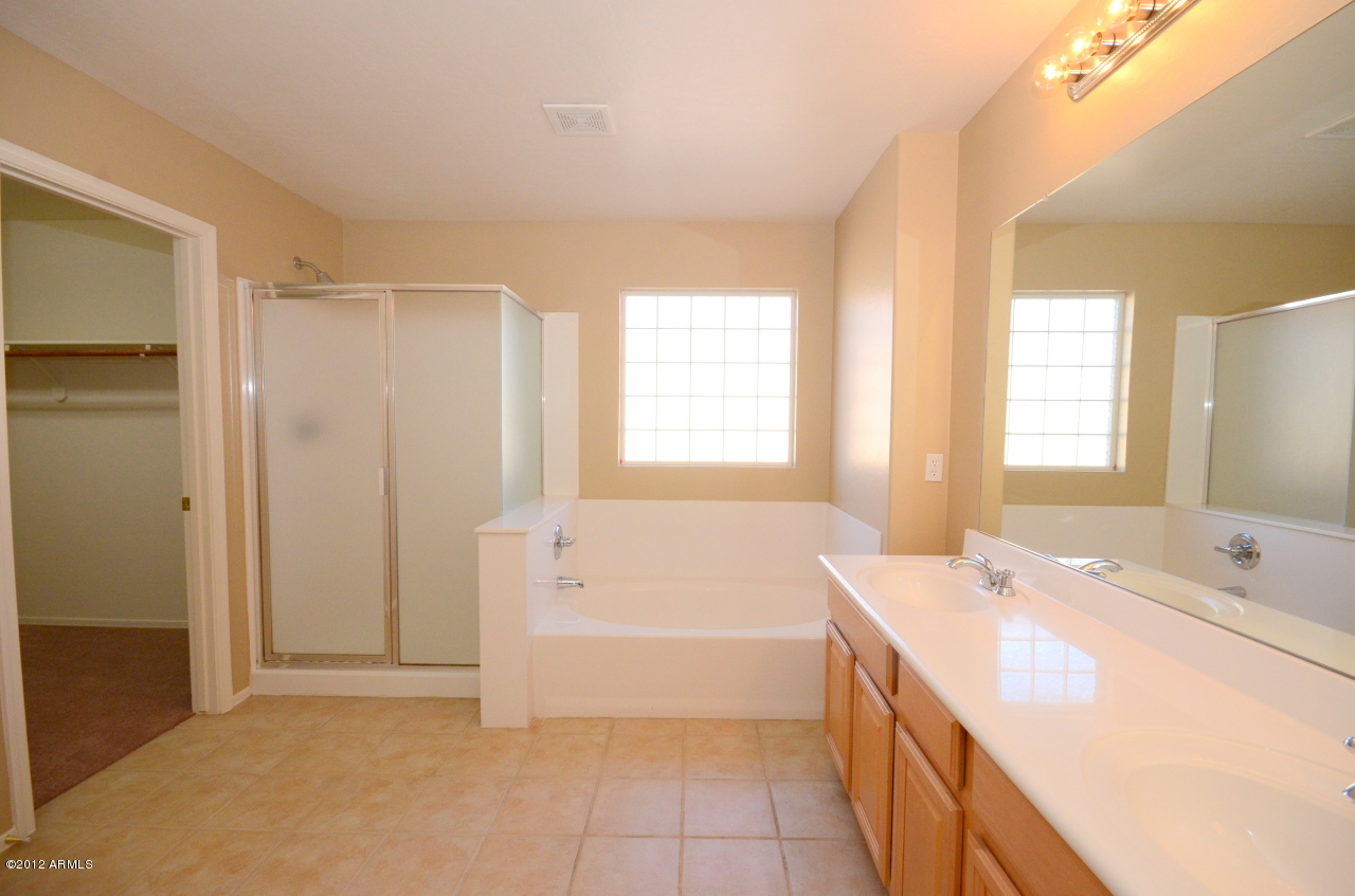 15629 West Redfield Road Surprise, AZ 85379 - Photo 14 of 24 Master Bath
