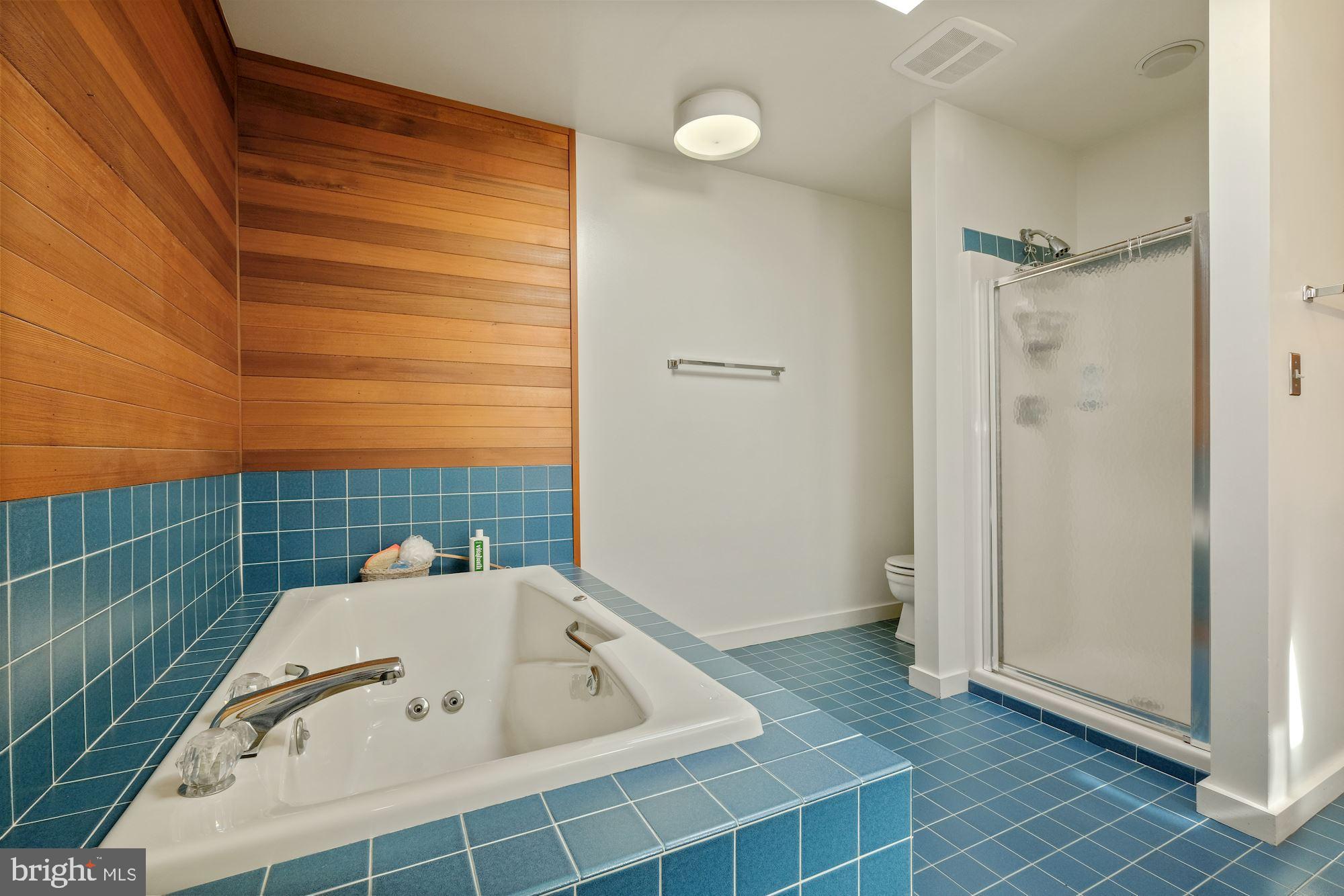 23212 Peach Tree Road Clarksburg, MD 20871 - Photo 26 of 52 En suite full bathroom with soaking tub and shower
