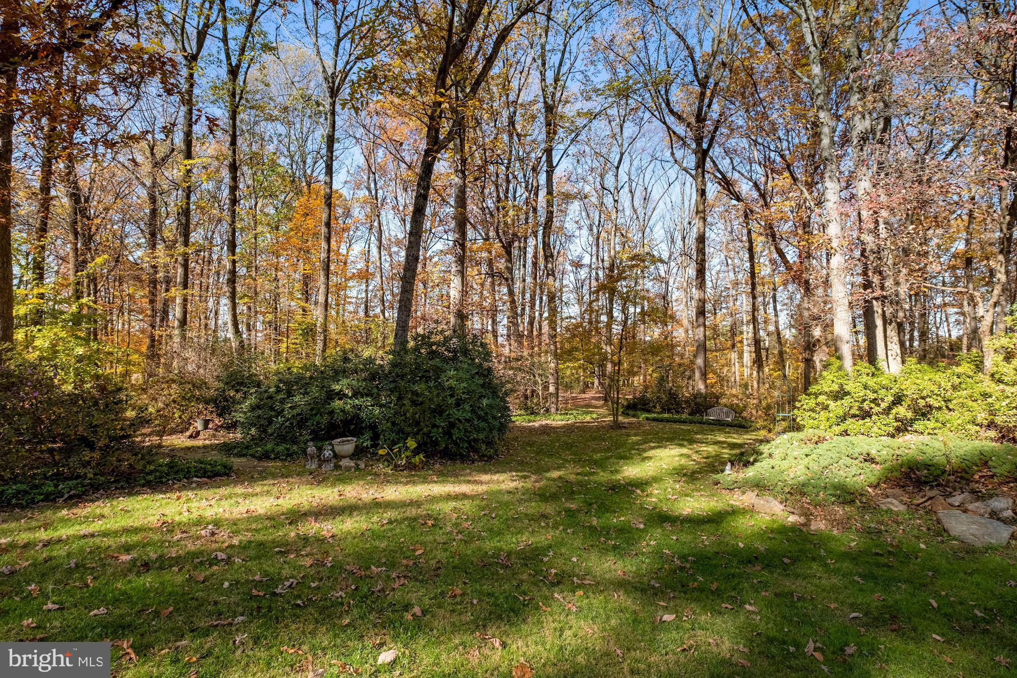 23212 Peach Tree Road Clarksburg, MD 20871 - Photo 42 of 52 Back yard