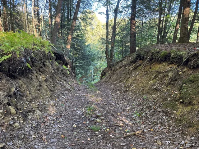 $249,900 | 12826 Belscher Road, Concord, NY 14141