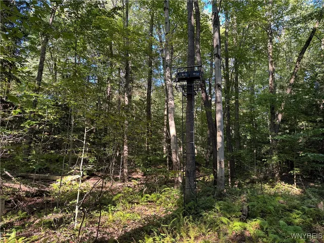 $249,900 | 12826 Belscher Road, Concord, NY 14141