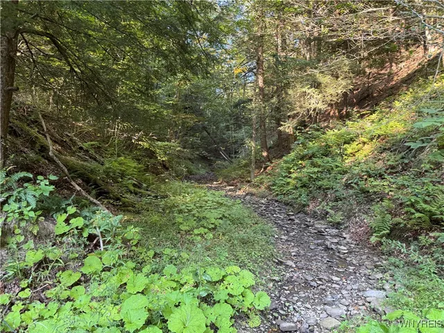 $249,900 | 12826 Belscher Road, Concord, NY 14141