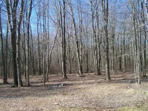 277 Bungy Road Scituate, RI 02857 - Photo 8 of 8 Land.