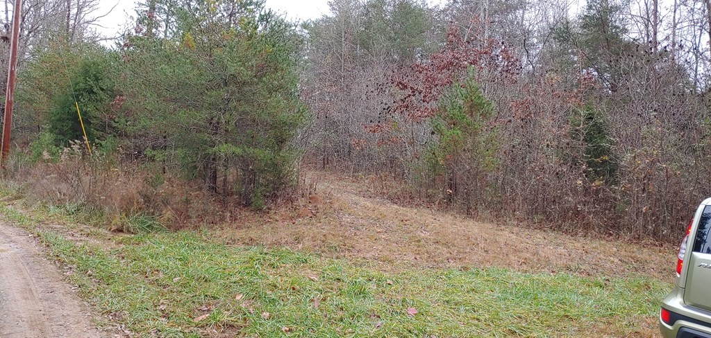 310 Clayton Wooten Lane Decatur, TN 37322 - Photo 3 of 4 Gallery Image 3