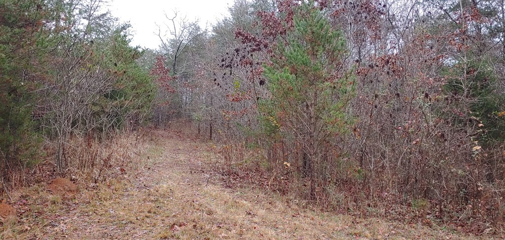 310 Clayton Wooten Lane Decatur, TN 37322 - Photo 4 of 4 Gallery Image 4