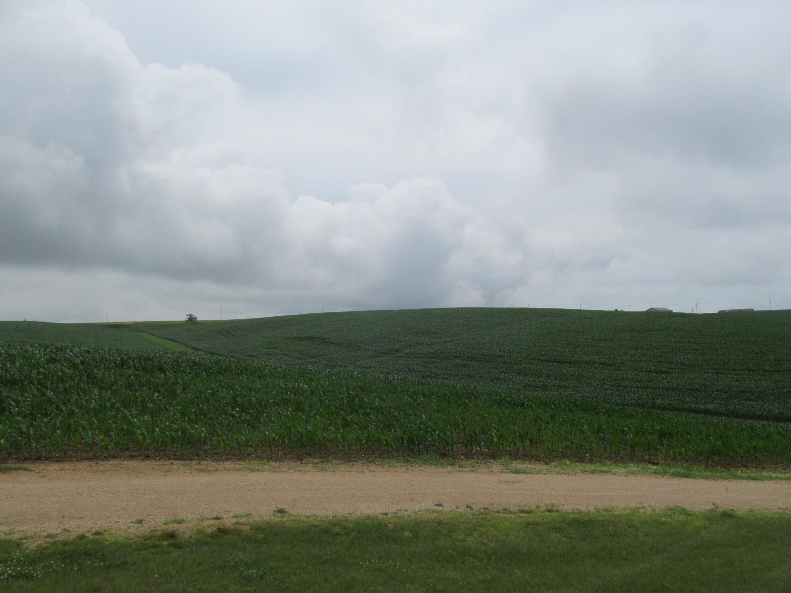 1714 County Road East Mineral Point, WI 53565 - Photo 29 of 58