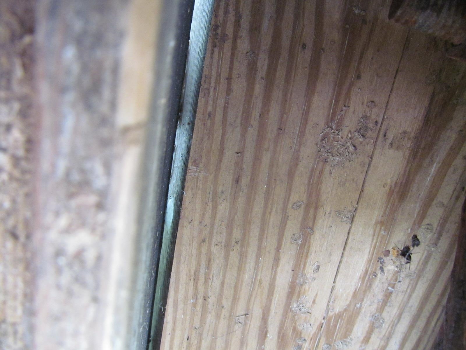 1714 County Road East Mineral Point, WI 53565 - Photo 43 of 58