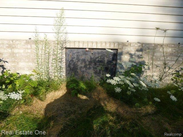 9343 West Sober Road Fowlerville, MI 48836 - Photo 38 of 41 Crawl entrance