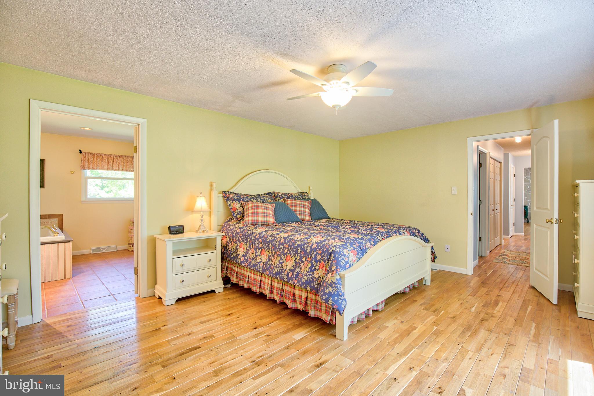 376 Devils Backbone Stephenson, VA 22656 - Photo 19 of 42 MASTER BEDROOM