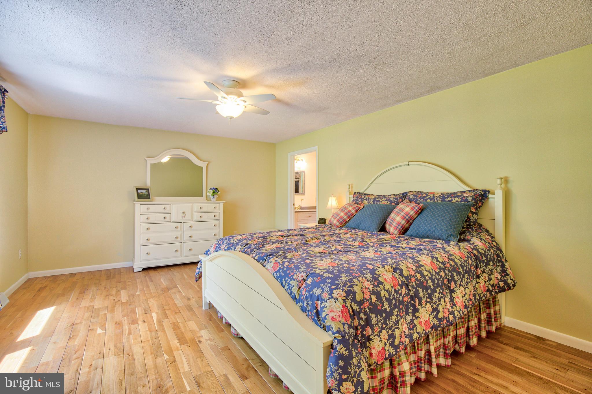 376 Devils Backbone Stephenson, VA 22656 - Photo 20 of 42 MASTER BEDROOM