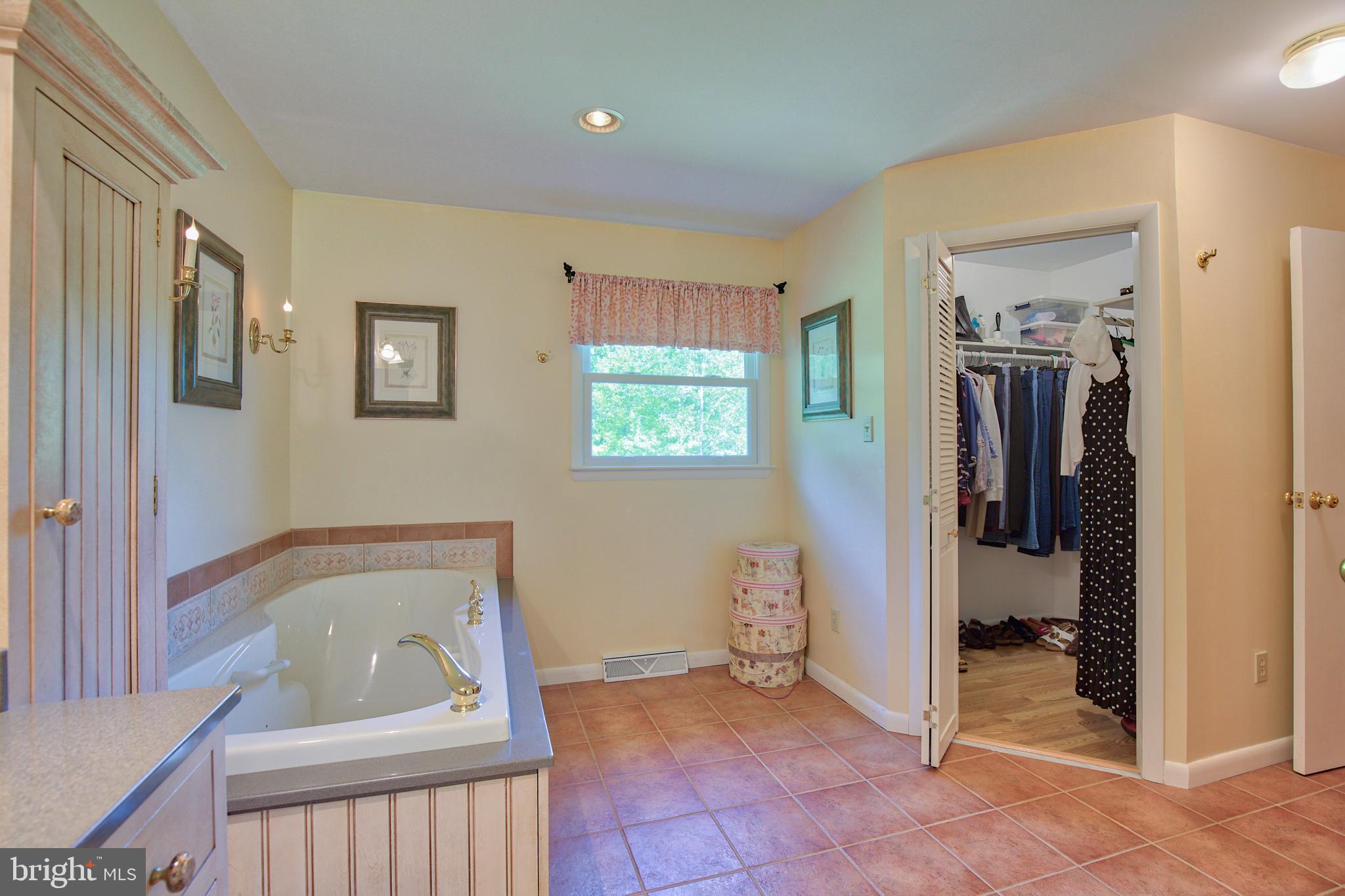 376 Devils Backbone Stephenson, VA 22656 - Photo 22 of 42 MASTER BATH