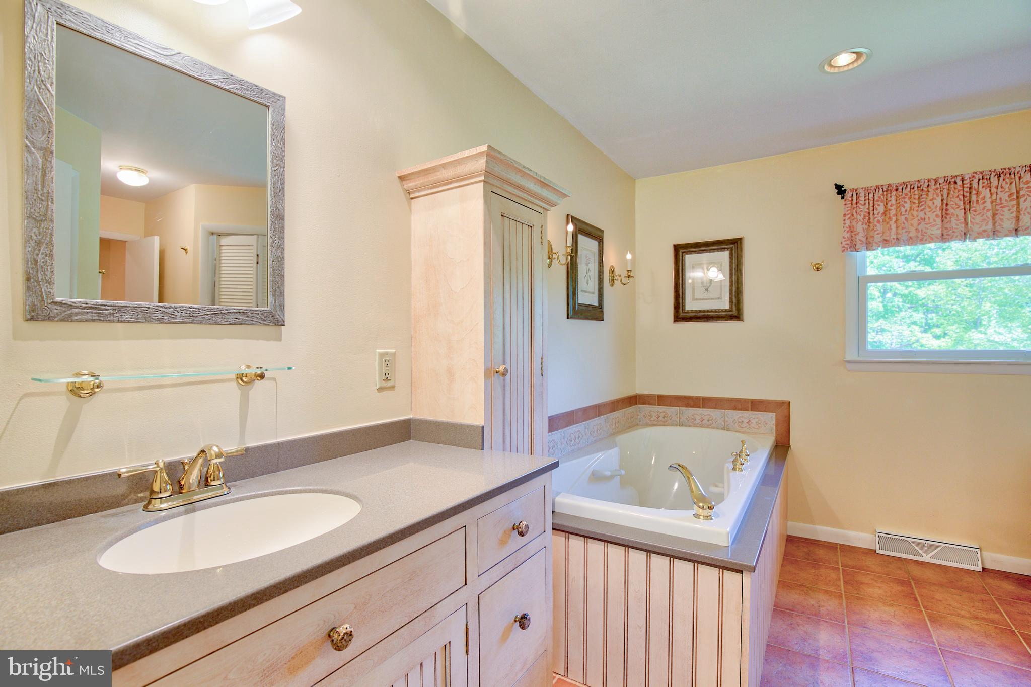 376 Devils Backbone Stephenson, VA 22656 - Photo 23 of 42 MASTER BATH