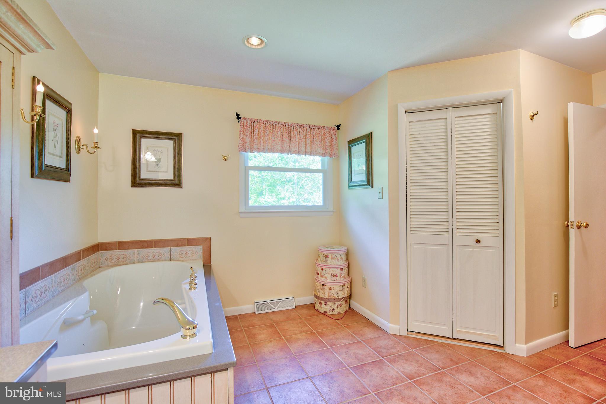 376 Devils Backbone Stephenson, VA 22656 - Photo 24 of 42 MASTER BATH