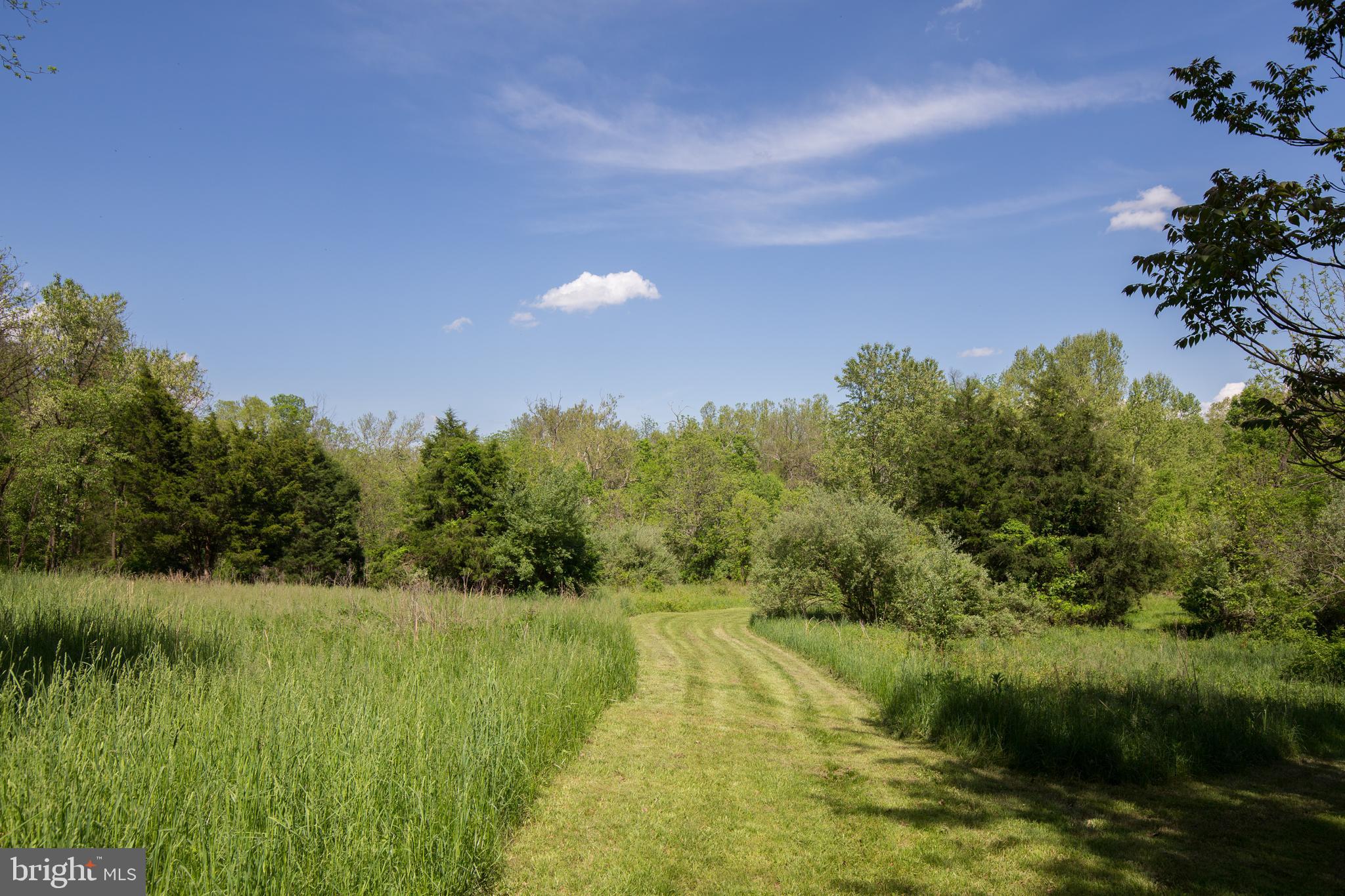 376 Devils Backbone Stephenson, VA 22656 - Photo 41 of 42 PASTURE