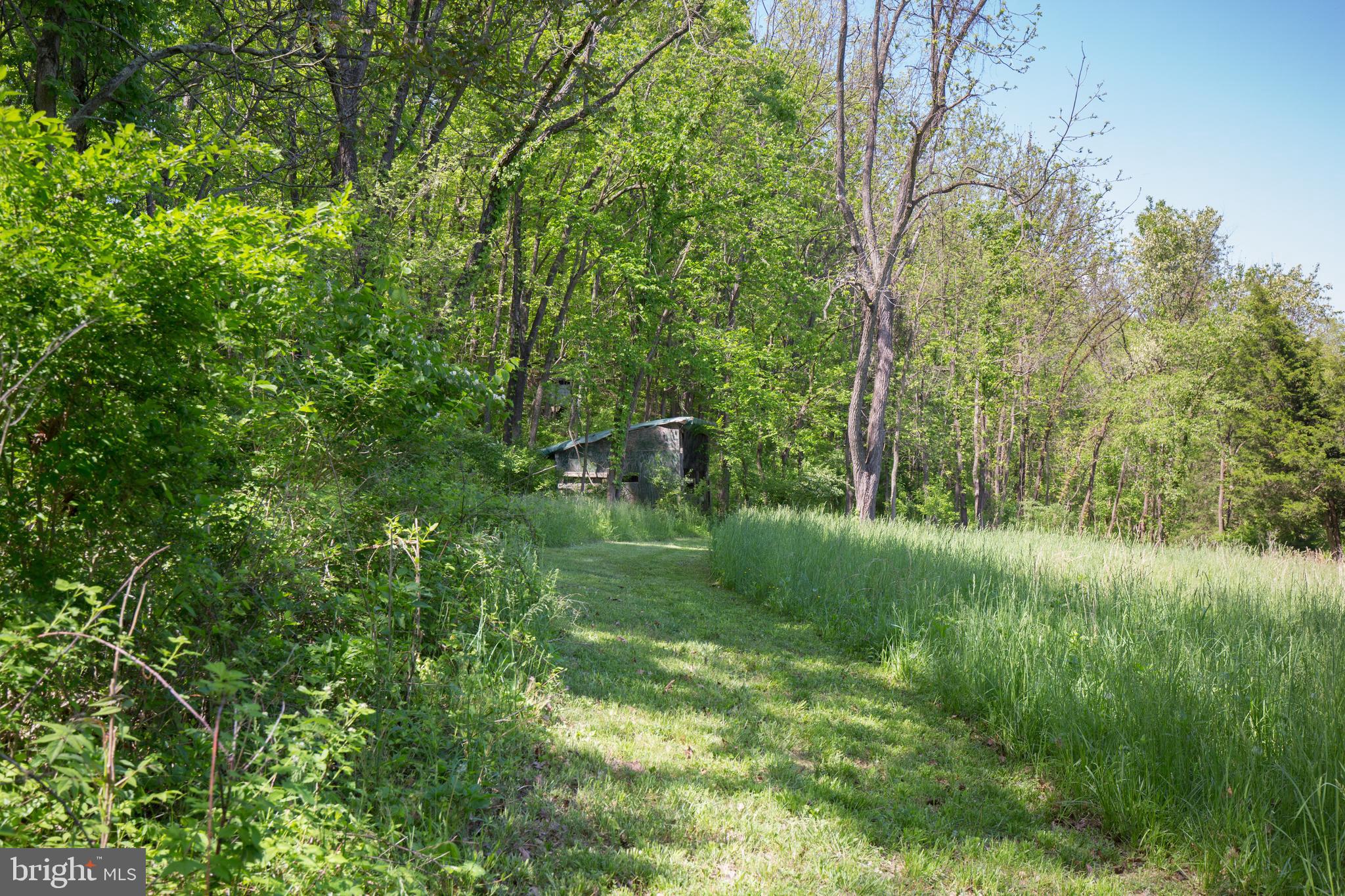 376 Devils Backbone Stephenson, VA 22656 - Photo 42 of 42 PASTURE
