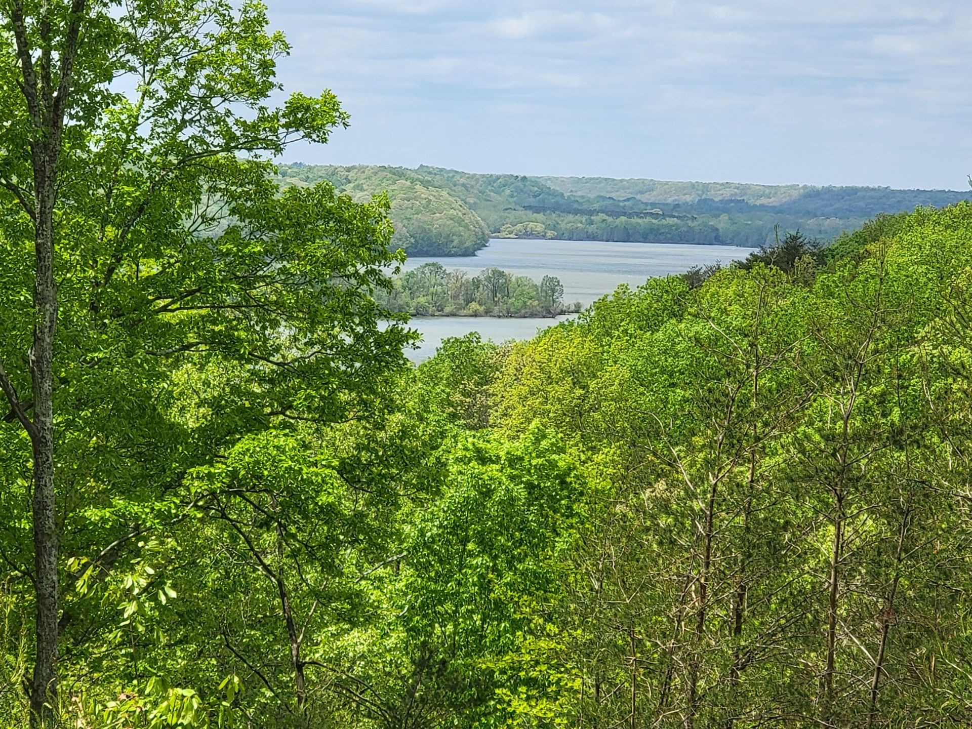 0 Crest Road Waverly, TN 37185 - Photo 1 of 9 Gallery Image 1