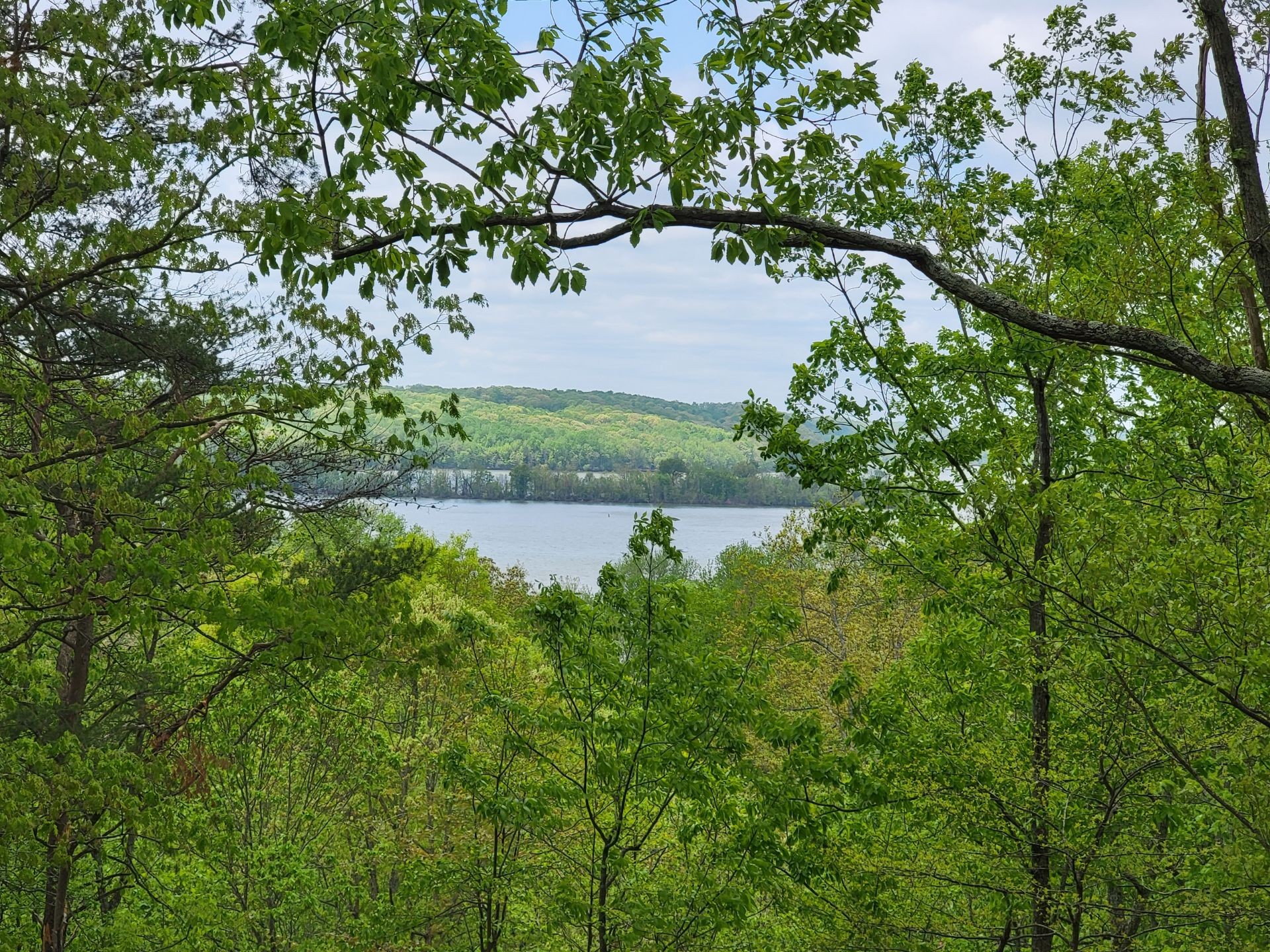 0 Crest Road Waverly, TN 37185 - Photo 2 of 9 Gallery Image 2
