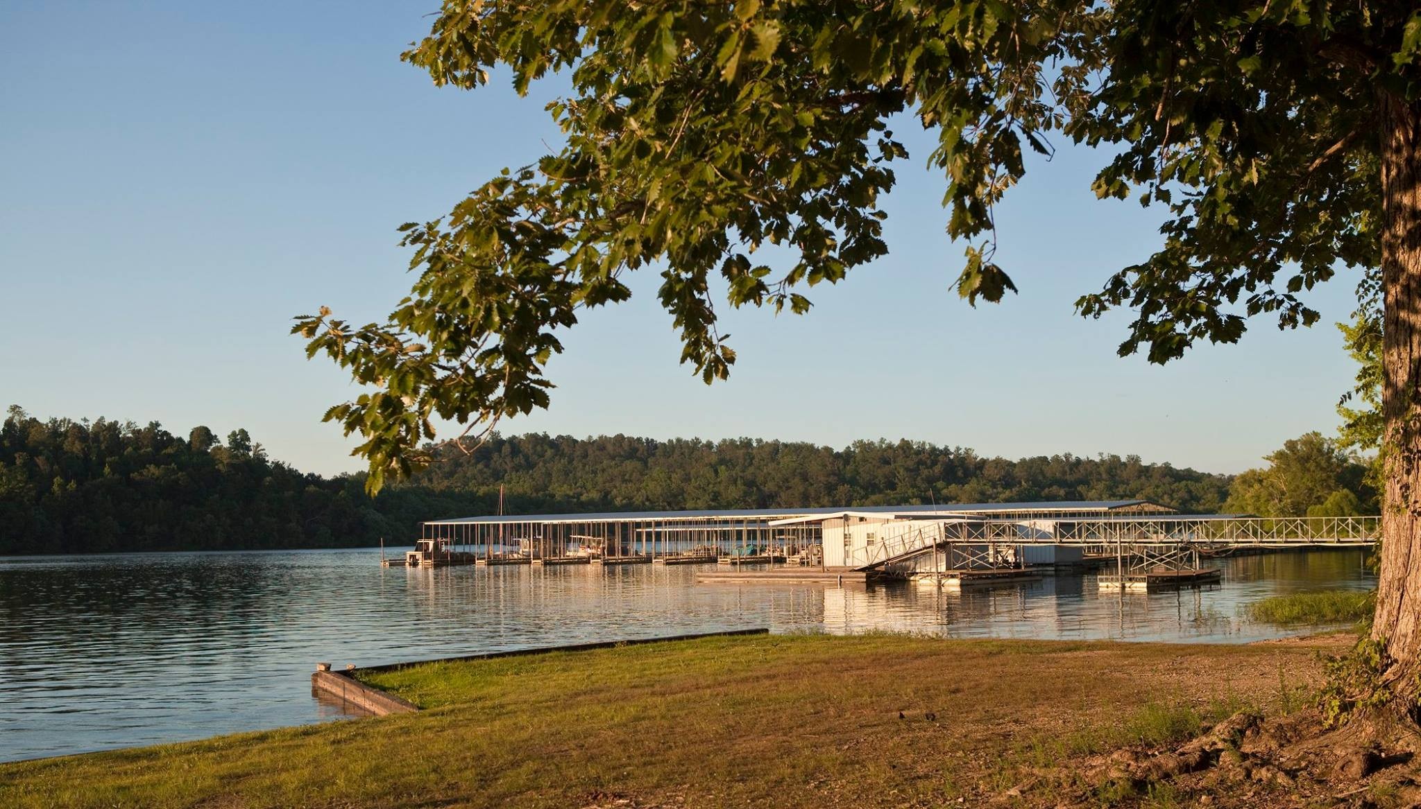 0 Crest Road Waverly, TN 37185 - Photo 8 of 9 Gallery Image 8