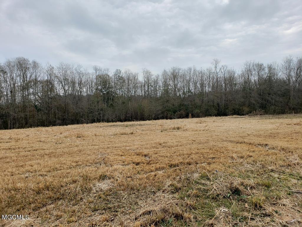 142 Sam Smith Road, Unit B Poplarville, MS 39470 - Photo 1 of 3 174383_0