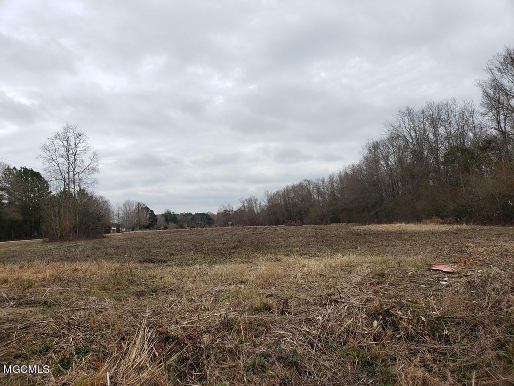 142 Sam Smith Road, Unit B Poplarville, MS 39470 - Photo 3 of 3 174383_2