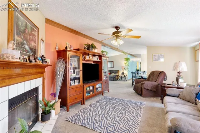a living room with furniture a fireplace and a flat screen tv