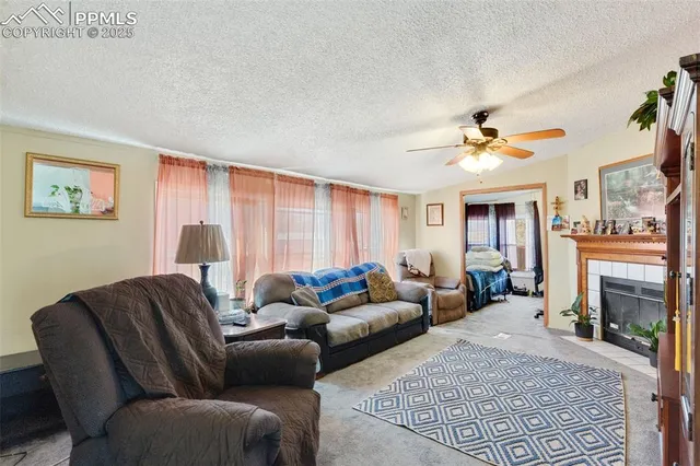 a living room with furniture and a fireplace