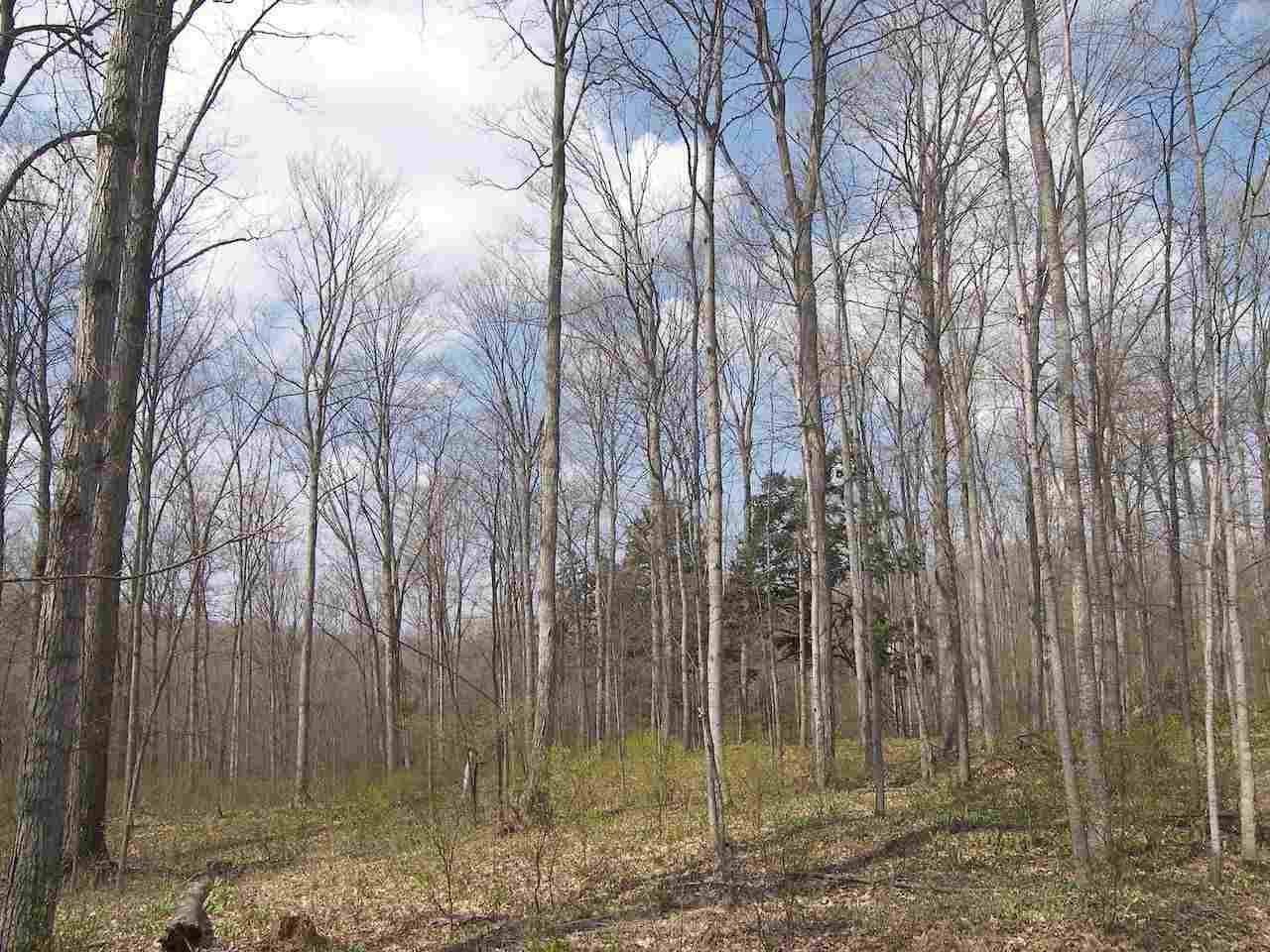 12426 South Maple City Road Maple City, MI 49664 - Photo 82 of 98 1889228-81.JPG