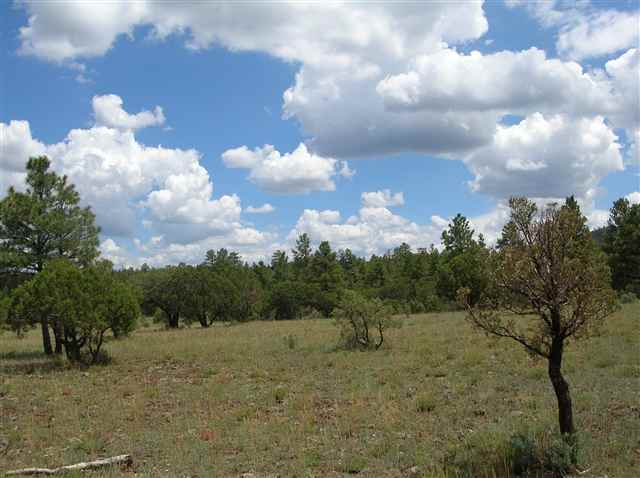 Lot #3 Porter Mountain Road Snowflake, AZ 85937 - Photo 3 of 5