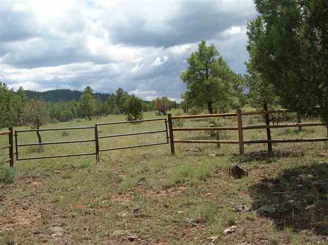 Lot #3 Porter Mountain Road Snowflake, AZ 85937 - Photo 4 of 5