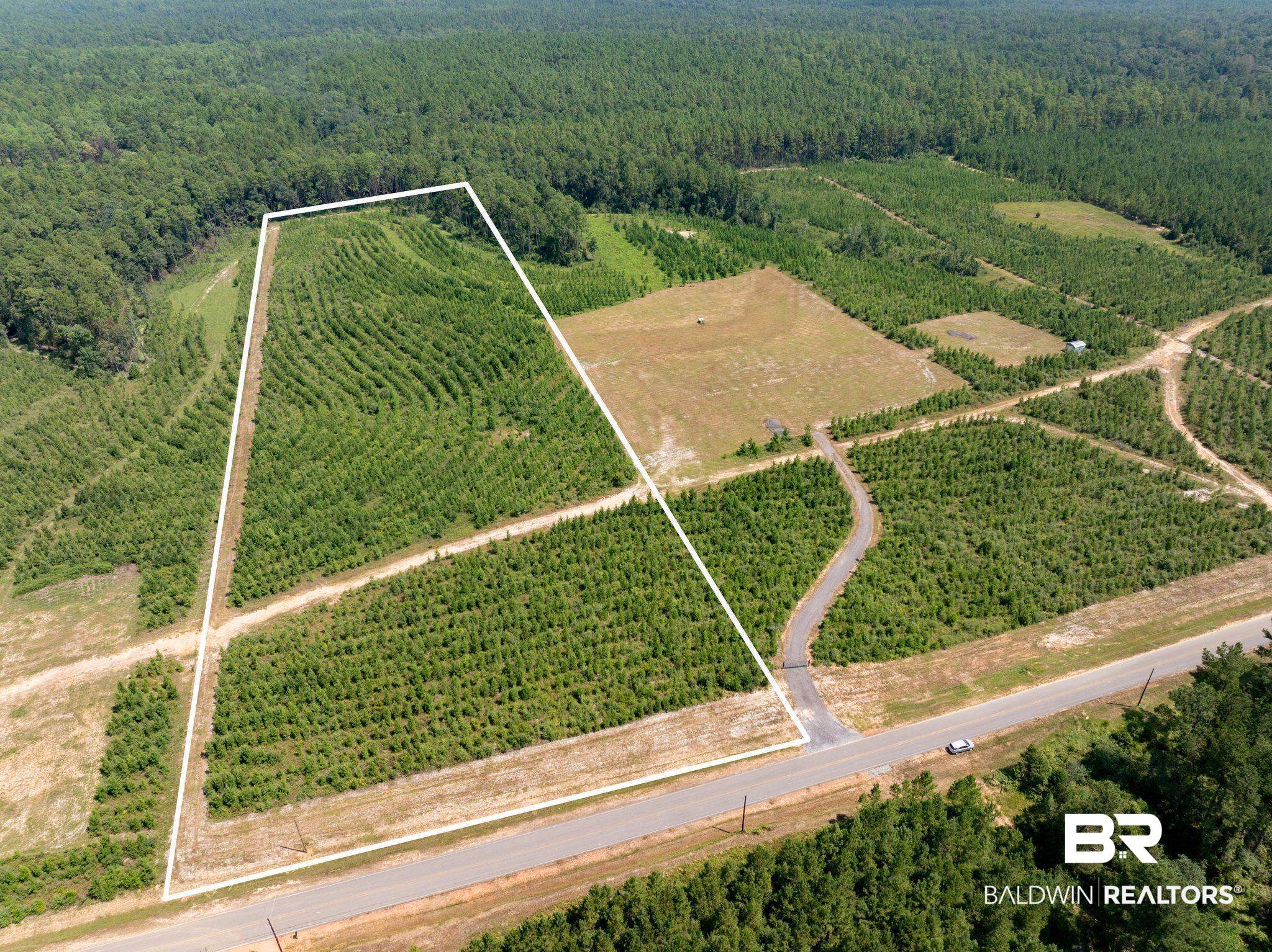 0 Horseneck Road Bay Minette, AL 36507 - Photo 1 of 11