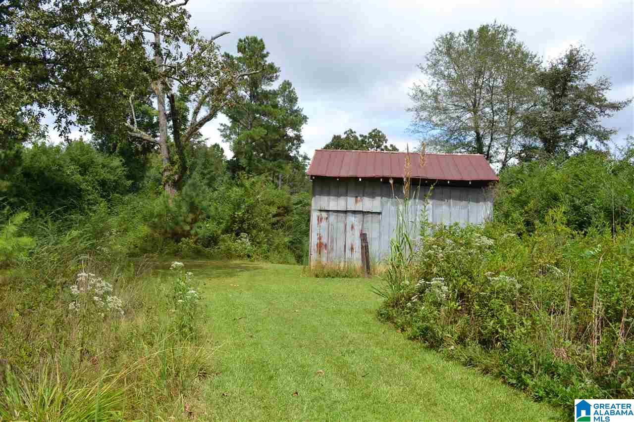 719 Williams Road Jasper, AL 35503 - Photo 44 of 50
