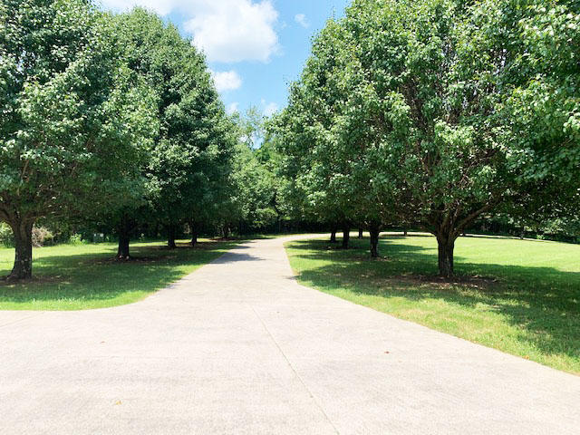 1419 Lee Ford Camp Road Ridgeway, VA 24148 - Photo 39 of 43 beautiful tree lined concrete driveway