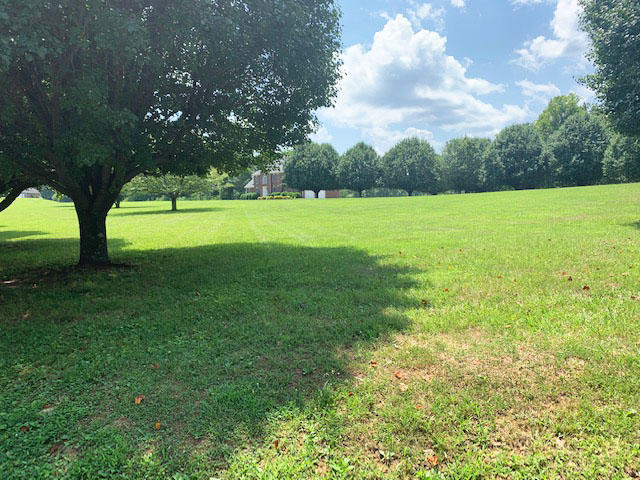 1419 Lee Ford Camp Road Ridgeway, VA 24148 - Photo 43 of 43 spacious side yard