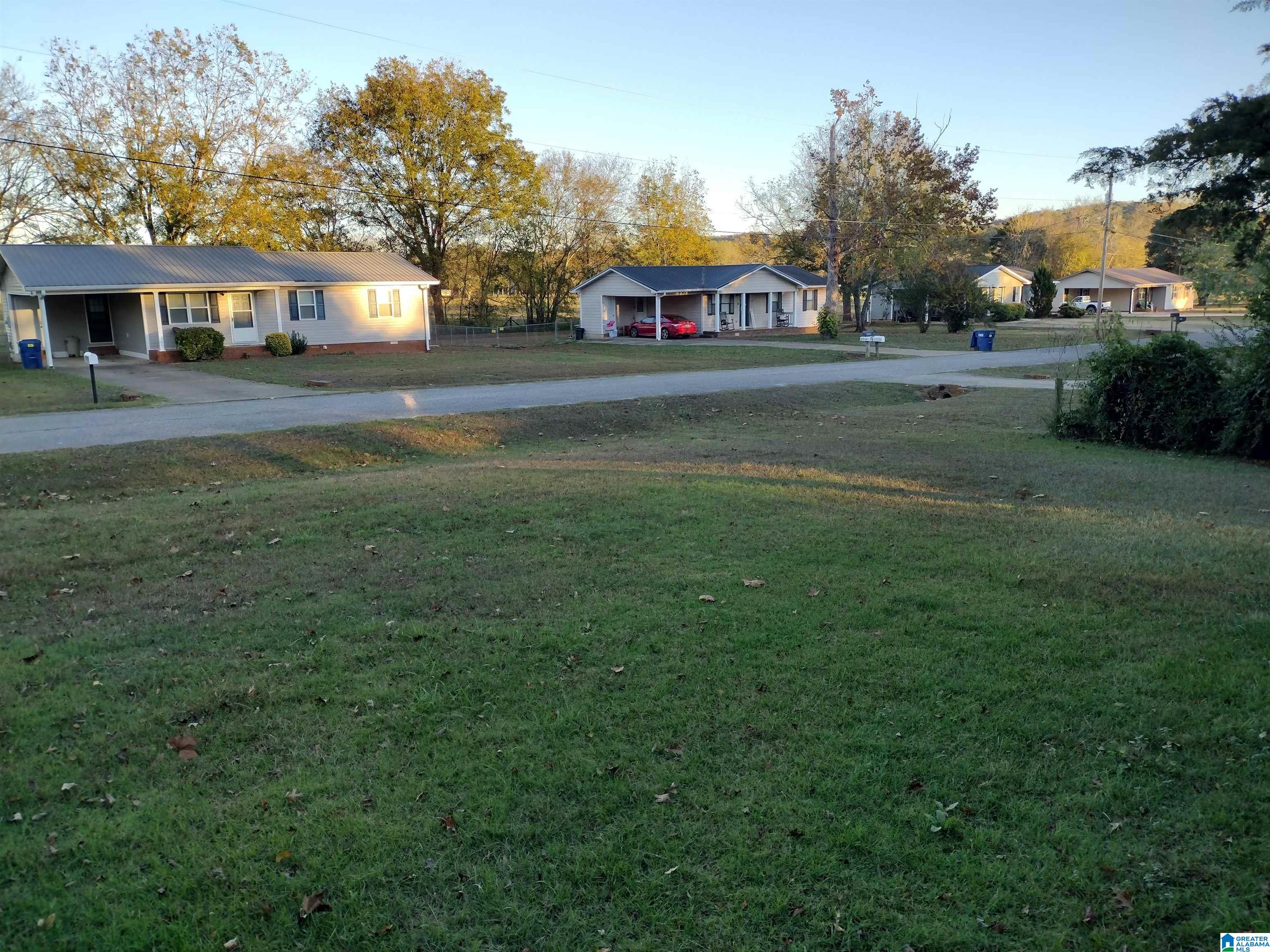 385 Shurbutt Circle Alexandria, AL 36250 - Photo 17 of 18