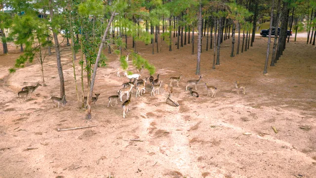 a view of an outdoor space and mountain view