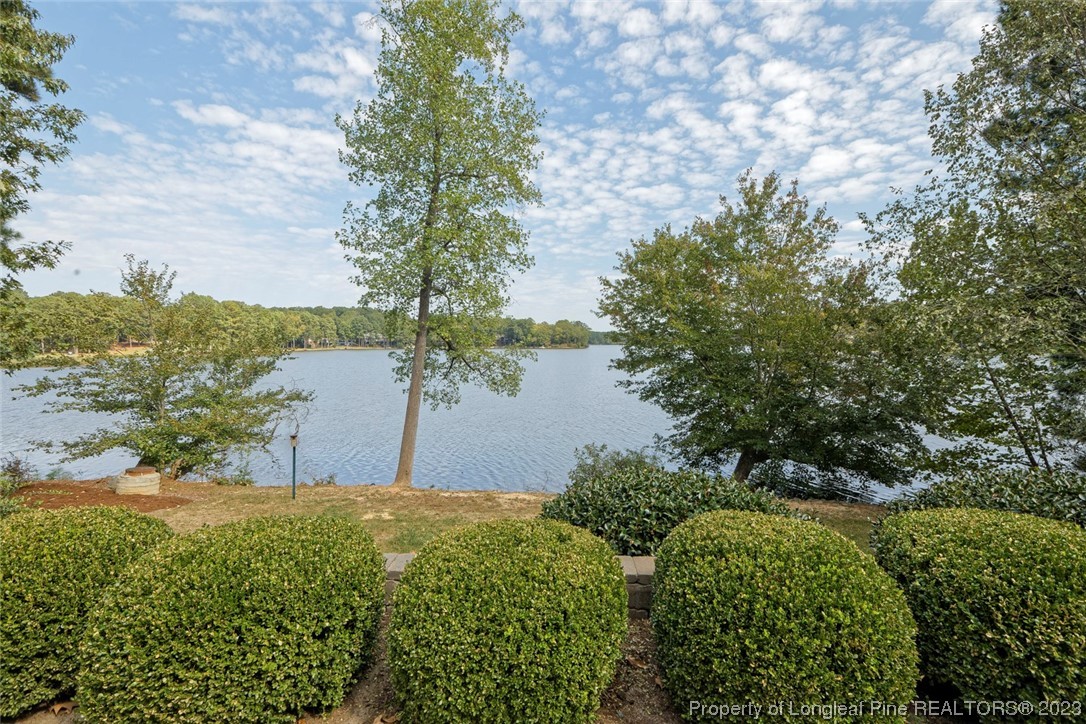 4 The Pointe Sanford, NC 27332 - Photo 46 of 50 a view of a lake from a yard