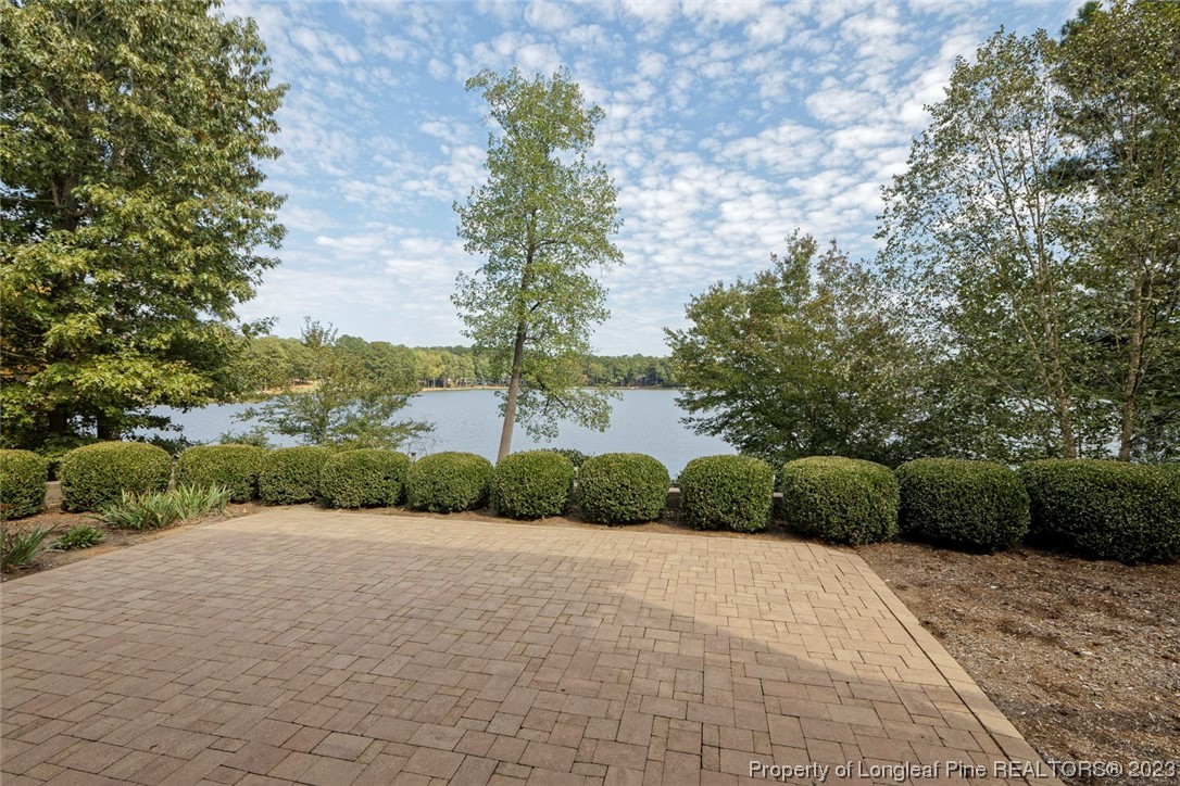 4 The Pointe Sanford, NC 27332 - Photo 48 of 50 a view of a garden