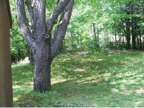 535 North Shore Road Chesterfield, NH 03462 - Photo 5 of 9