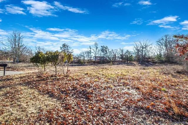 a view of a yard with trees