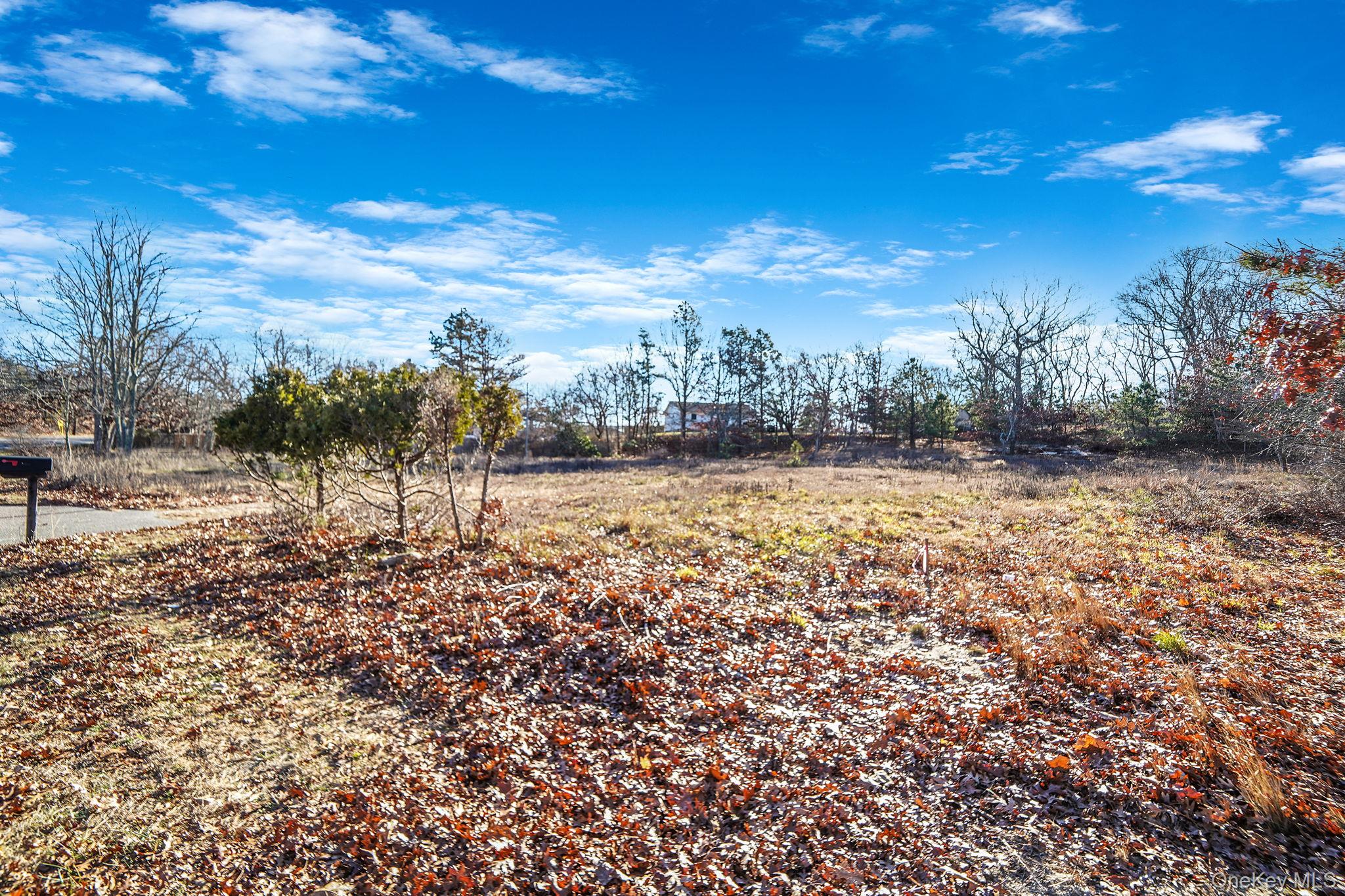 267 Old Country Road Eastport, NY 11941 - Photo 2 of 17